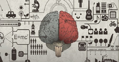 Bộ não của các doanh nhân có gì khác biệt?