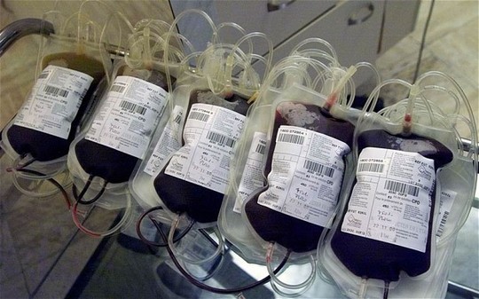 Thay máu giúp "cải lão hoàn đồng"