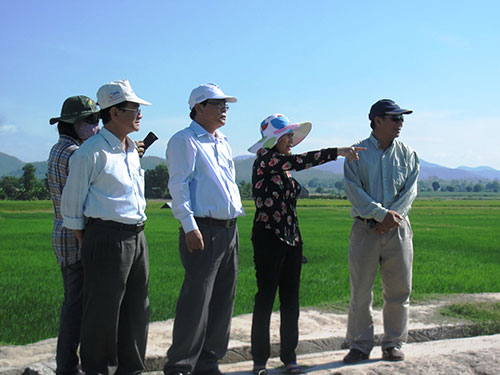 Thủy điện lấy đất, bỏ mặc dân!
