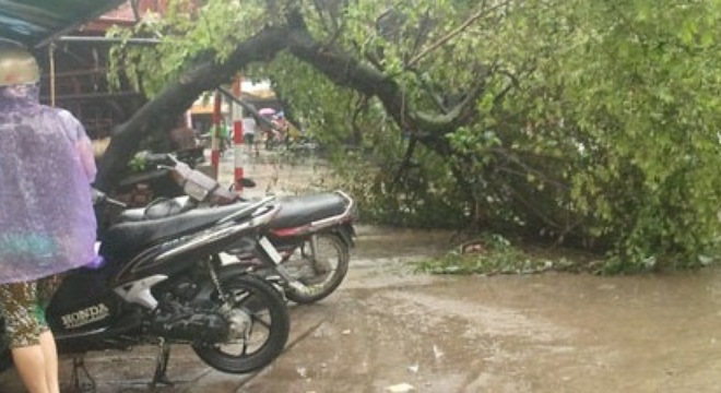 Điện giật chết người trong đêm mưa: TCT Điện lực lên tiếng